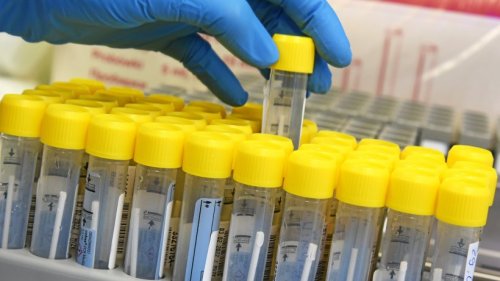 Corona-Pandemie: HSK stellt Veröffentlichung der Zahlen ein