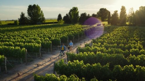 Mendoza: 5 Erlebnisse zwischen Trauben, Weinproben und schönen Landschaften