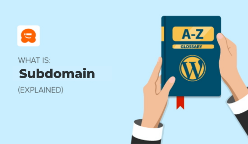 What are Subdomains? (Definition and Examples)