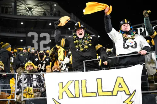 Pittsburgh Steelers: ESPN writer baffled team didn't address one