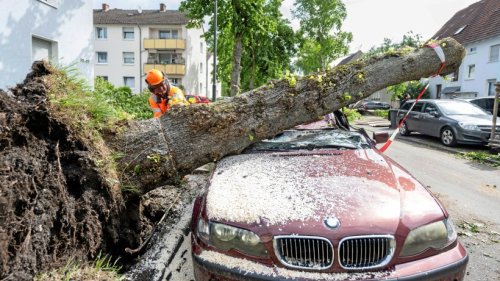 Tornado Westfalen: Opfer, Millionenschäden – so ist die Lage