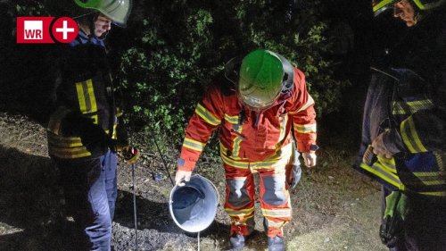Kreuztal: Feuerwehr beendet Grillabend am Waldrand
