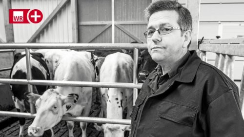 Chef-Landwirt Josef Schreiber aus Medebach stirbt unerwartet