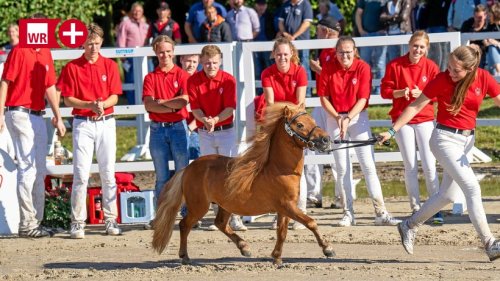 Olpe: Putziges Shetland-Pony hilft schwer kranker Franzi