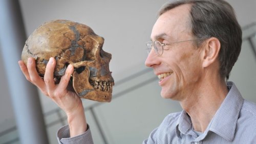 Medizin-Nobelpreis für Evolutionsforscher