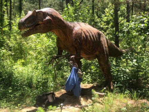 Fayetteville ranch welcomes dinosaurs back for a second season
