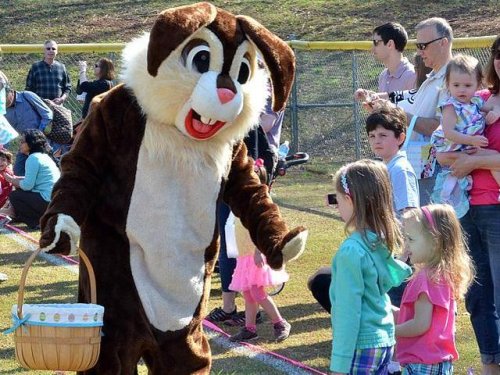 Find local Easter Egg Hunts Meet The Bunny Flipboard Find local easter egg hunts meet the bunny flipboard