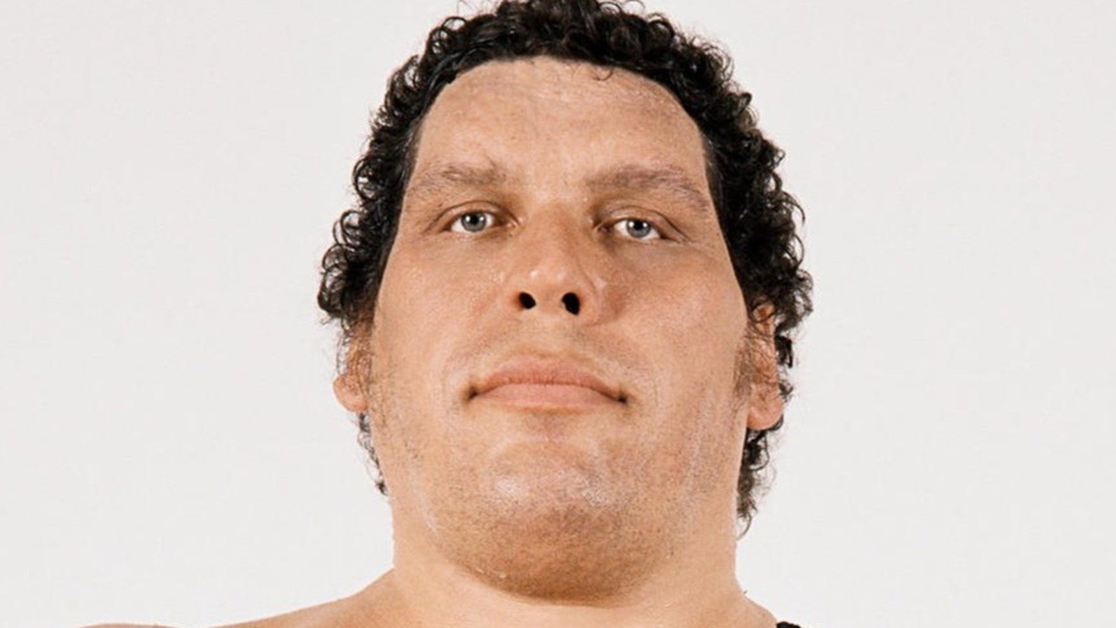 Wrestlers We Would Have Loved To See Andre The Giant Match Up Against  - cover