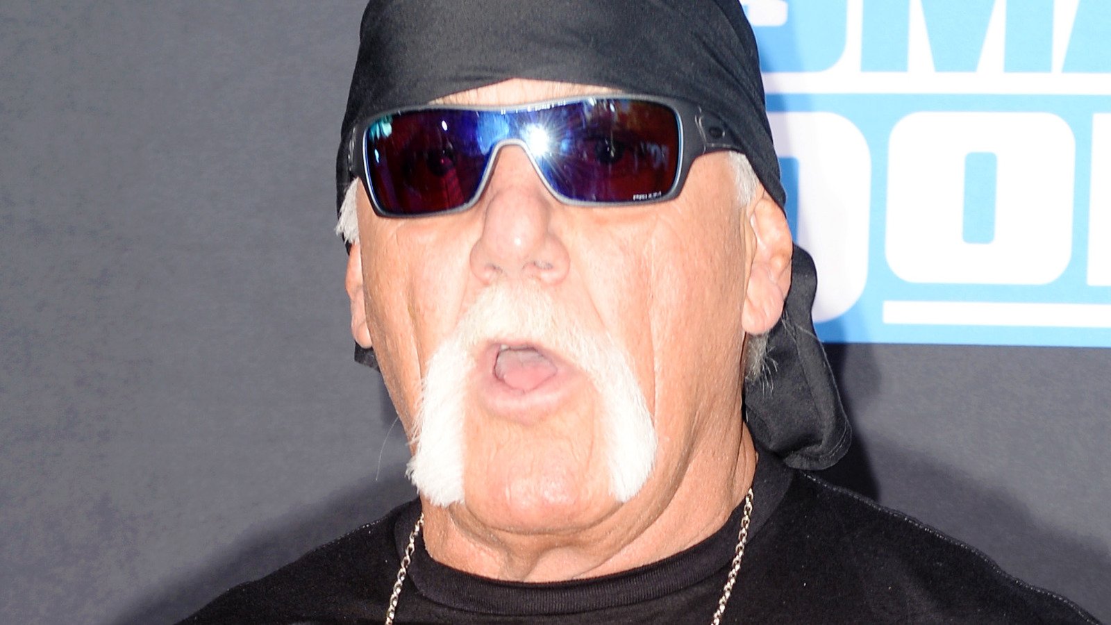 Hulk Hogan Thought His Alter Ego Would Get A Two-Year WWE Run - Wrestling Inc.