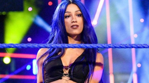Sasha Banks walked out of WWE Raw after meeting with Vince McMahon about creative