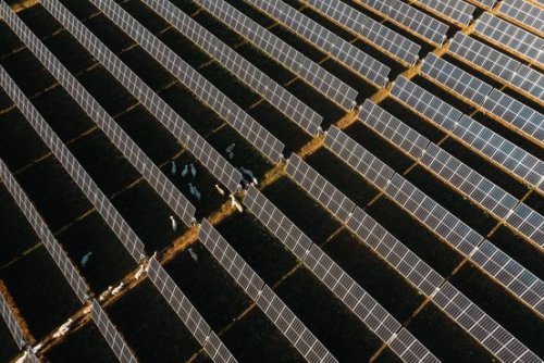 Chinese Solar Manufacturers Dodged U.S. Tariffs