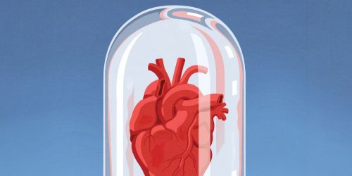 A New Way to Protect Against Heart Attacks