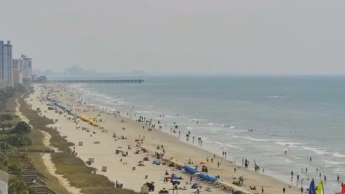 2 people bitten by sharks in Myrtle Beach on same day, police say