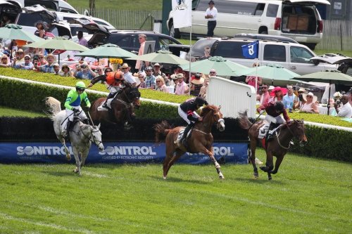 Queen’s Cup Steeplechase event canceled for 2024 as transition to new leadership stalls