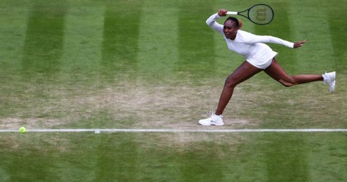 Venus Williams to return in 's-Hertogenbosch