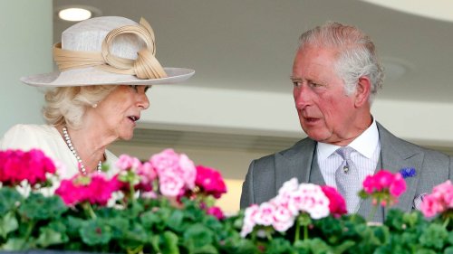 Herzogin Camilla & Prinz Charles: Jetzt ist alles verloren!