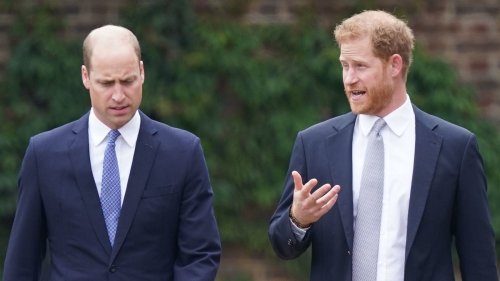 Prinz Harry & Prinz William: Jetzt bricht endgültig alles zusammen