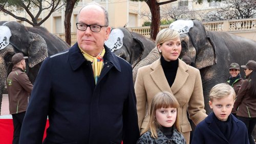 Charlène von Monaco Fürst Albert: Jetzt ist von Abdankung die Rede