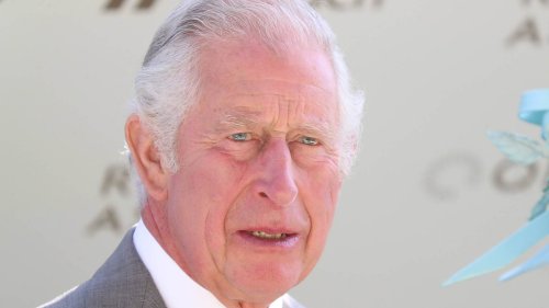 Prinz Charles: Alkoholsucht, Korruption und Betrug! Er hat alles verloren