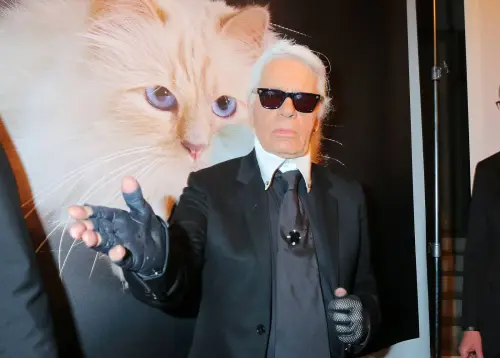 Karl Lagerfelds Katze gibt sein Geld aus