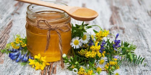 Honigfasten: So reinigst du dich von Innen