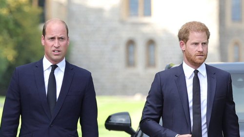 Prinz Harry & Prinz William: Heftige Fake-Vorwürfe! Der Zoff geht in die nächste Runde