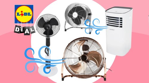 Hitzewelle in Deutschland: Ventilatoren jetzt schnell zum Discounter-Preis bei Lidl kaufen!