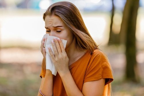 Haben Allergien zugenommen? Die Antwort was dir nachhaltig gegen Heuschnupfen hilft