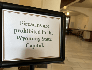 Second Amendment supporters can’t keep ignoring mental health solutions