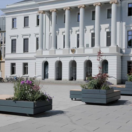 Verschönerung: Mobiles Grün auf dem Rathausplatz wird von Bürgern gut angenommen