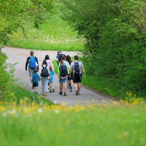 Gesundheit im Grünen: So schützt man sich gegen Zecken und andere Plagegeister
