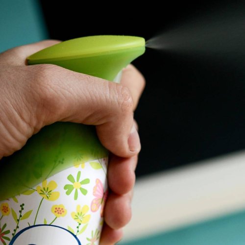 An die Umwelt denken: Auf Raumsprays besser verzichten - besonders Allergiker