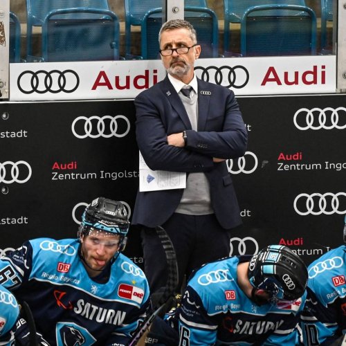 DEL: Psychologe als Trumpf? Coach French lässt Ingolstadt träumen