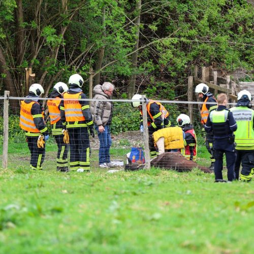 Blaulicht: Autofahrer und Pferd sterben bei tragischem Unfall in Wuppertal