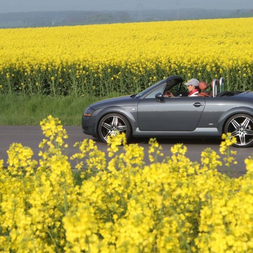 Von Batterie bis Verdeck: So wird das Cabrio in fünf Schritten fit für den Sommer