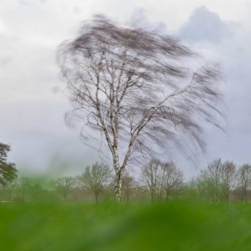 Unwetterwarnung: „Einzelne Tornados nicht ausgeschlossen“ - am Freitag erwartet Wuppertal schweres Gewitter