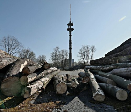 Stadtentwicklung: Statt Wohnbebauung nun vorerst 130 Parkplätze