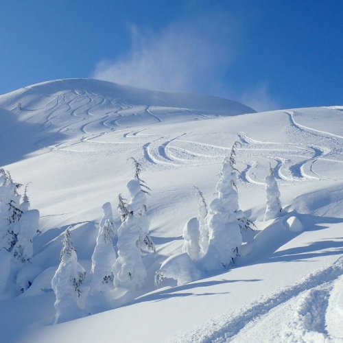 Europäische Pionierarbeit: Wie Kanada zum Skifahrer-Mekka wurde