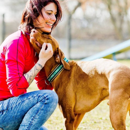 Hunderassen im Überblick: Für Familien, Sportler oder Ältere: Welcher Hund passt?