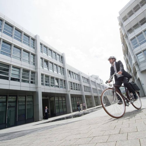 Tageslicht tanken: Was gegen die Frühjahrsmüdigkeit im Job hilft