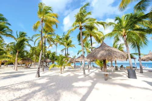 Why A Solo Trip To Aruba Was The Nervous System Reset I Needed This Winter