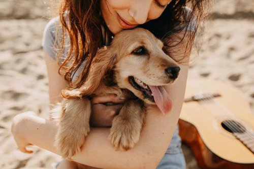 8 Top Dog-Friendly Beaches in the United States