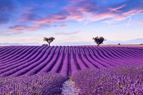 15 Beautiful Places to Visit in Provence