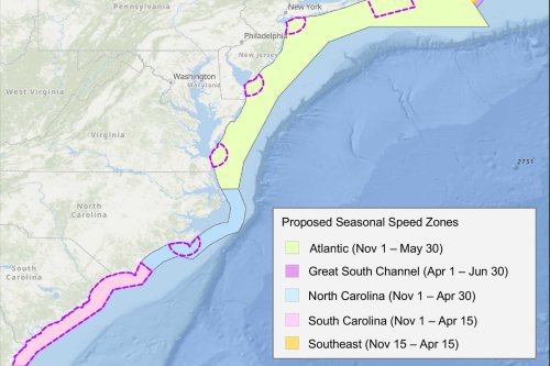 NOAA Proposes Vessel Speed Restrictions To Protect Right Whale