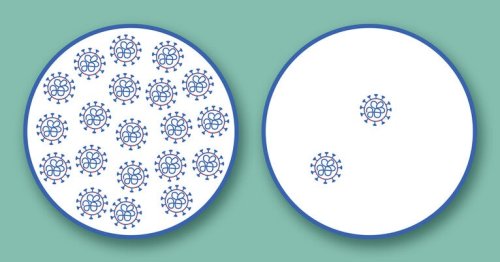 Common cold combats COVID-19