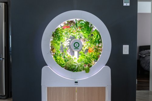 Smart Indoor Gardens that make gardening easily and accessible with their automated tech!