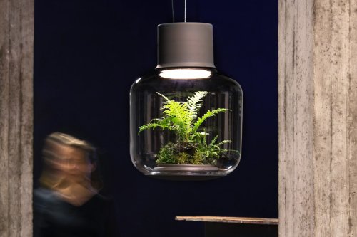 This self-sustaining plant ecosystem helps you light up your home