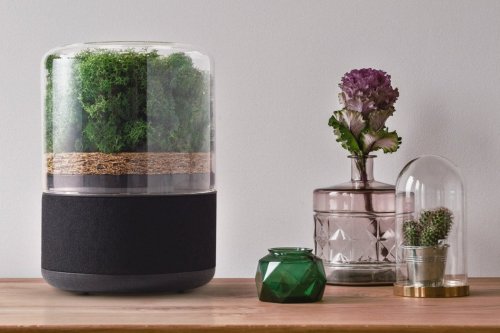 This natural air purifier uses a miniature forest to rapidly clean your atmosphere!
