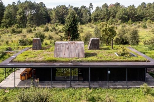Unique architectural designs that will fulfill your sustainable + green home goals