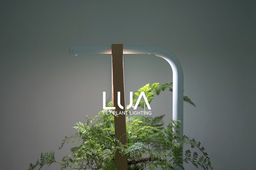 LUA Pet Plant Lighting is perfect for your indoor plants